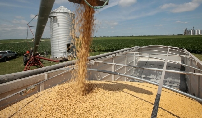 EU imports considerably more American soybeans in July