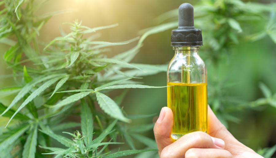 Cannabidiol Oil: Choosing Your Favorite Oil to Try