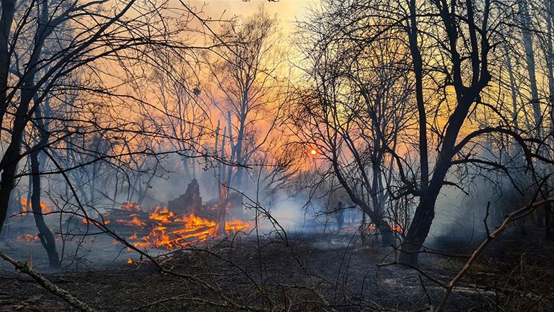 The Ukrainian Authorities have Doubled the Number of Firefighters to Fight Forest Fires